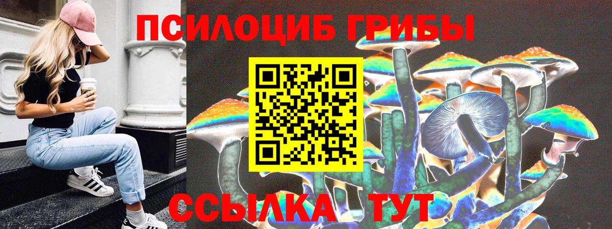 Псилоцибиновые грибы Бирск